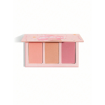 Sheglam Sweet Cheeks Blush Trio-Enamored.