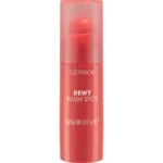 Catrice Dewy Blush Stick 010 Sheen On You.