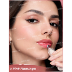 Sheglam Booster Shine Plumping Lip Gloss-Pink Flamingo.